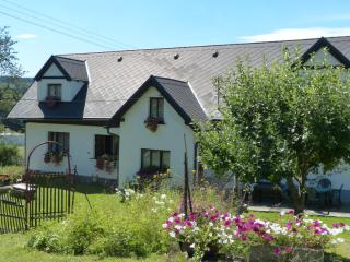 Bizoní dvůr - Řetenice - 2