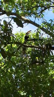 Casa Rústica Recanto do Sol - 5