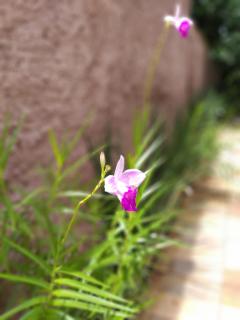 Casa Rústica Recanto do Sol - 4