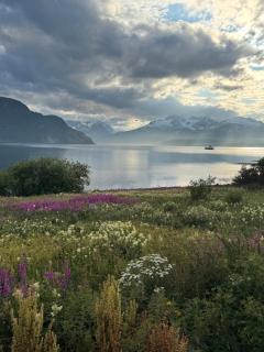 Above The Arctic circle - 1