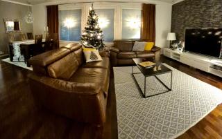 Villa Santa's Neighbor in Rovaniemi - 3