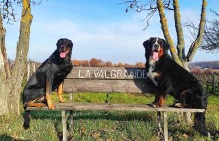 Cascina Valgrande, Monferrato - 9