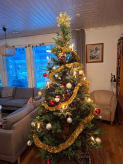 Northern Lights home for families - close to the Arctic Circle - 9