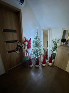 APARTMENT ZVONÁRSKA with FREE PARKING - 8