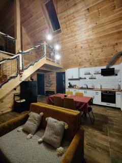 Cabana ONYX Baile Olanesti - Băile Olăneşti - 4