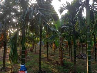 Farm House Shetgeri - 9