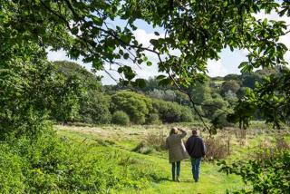Manor Cottage at Cusgarne Manor, romantic, dog-friendly - 6