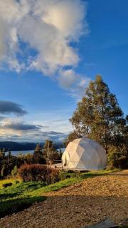 Glamping Store - 6