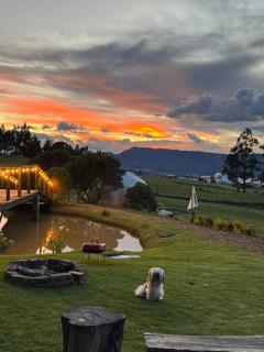 Glamping Store - 1