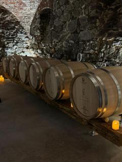 Pensiunea Nimbus - 3