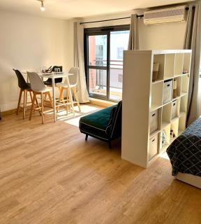 Grand Studio Cosy 39m2, Rénové & Climatisé - 0