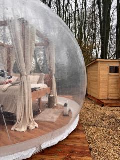 Bubbeltent in bos met hottub, 20m Amsterdam - 8