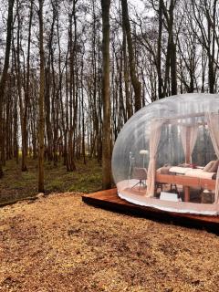 Bubbeltent in bos met hottub, 20m Amsterdam - 0