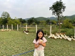 The Real Farm - Nguyen Shack - 8