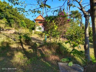 ไร่บริสุทธิ์ - 7