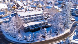 Alpina Löwen Hotel - 0