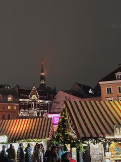 Blue Bird Boutique Hostel - Riga Old Town - 9