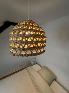 Urban Jungle T2 Pau tout à pied - 6