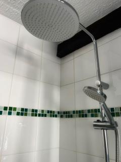 Urban Jungle T2 Pau tout à pied - 1