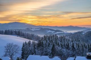 Alpina Löwen Hotel - 6