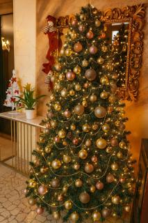 MB Place Abano Terme - 0