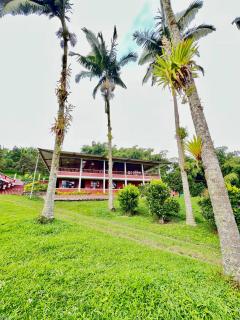 Finca La Carmelita Casa Campestre con Piscina y entre Montañas a sólo minutos de Santa Rosa de Cabal - 8