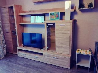 Appartement F2 Strasbourg Métropole, 44qm, 2 Zimmer, komfortabel, Balkon, Tram 5 Minuten - Bischheim - 7