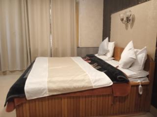 Hotel malik palace - Srinagar - 7
