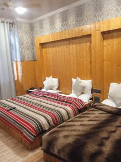 Hotel malik palace - Srinagar - 5