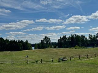 Gospodarstwo Agroturystyczne nad jeziorem MM Piotrowscy - 8