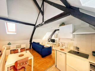 Urban Jungle T2 Pau tout à pied - 0