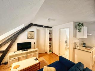 Urban Jungle T2 Pau tout à pied - 8