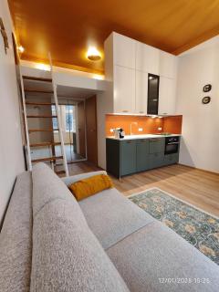 New Loft near IP Pavlova, Prague 2 - 5