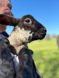 Escape the Ordinary - 9