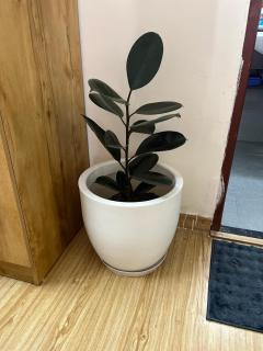 Sukoon, The Aero Hub Stays - 5