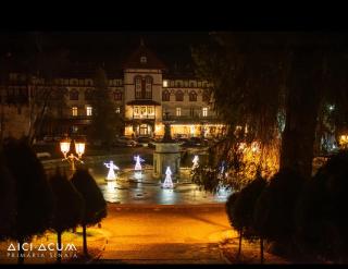 AVA Studio Sinaia - 9