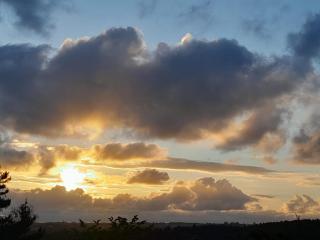 Holiday Accommodation in the Wilderness Phoenix Rising - 6