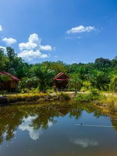 Pepee mini cafe ปีปีมินิ คาเฟ่ &โฮมสเตย์ - 3