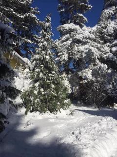 Planinska kucica Srce - 9