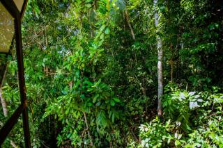 Sunny Hill Villa - 4