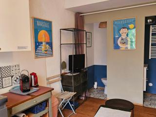 Studette indépendante et coquette avec terrasse sur jardin - 4