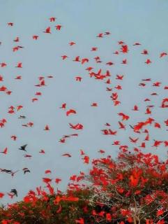 Pousadinha linda próxima de tudo# - 6