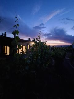 El Atelier - Valle de Uco - 2