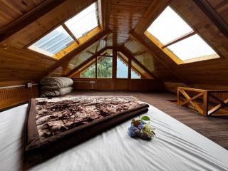 Himalayan Pine Majesty - 8