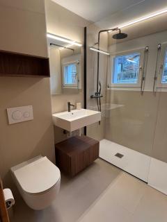 Renovated-Spacious apartment up to 6 people in Flims - 5