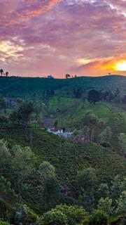 Mad & Nomad Backpackers Hostel - 0