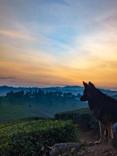 Mad & Nomad Backpackers Hostel - 7