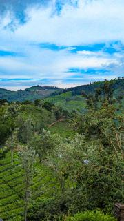 Mad & Nomad Backpackers Hostel - 9