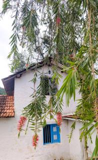 Mad & Nomad Backpackers Hostel - 5