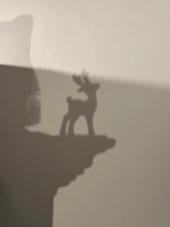 Les Villas du Ried - 8